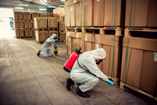 Best Mosquito Control Services  in Tipton, IN