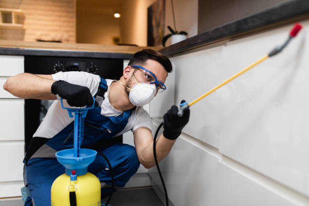 Best Pest Control Near Me  in Tipton, IN