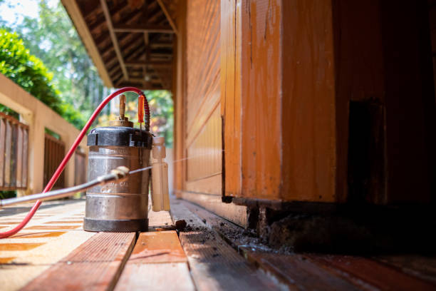 Best Wasp Removal Services  in Tipton, IN