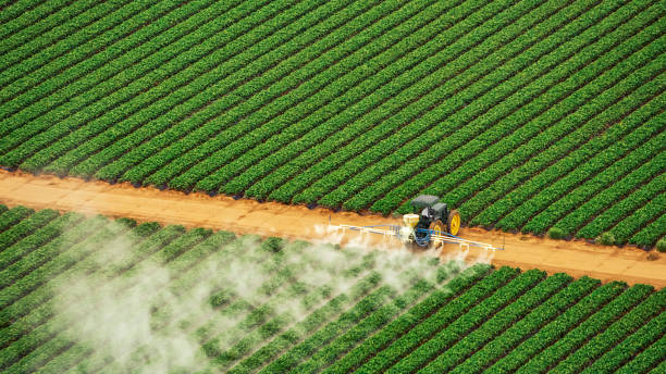 Best Ant Control Services  in Tipton, IN
