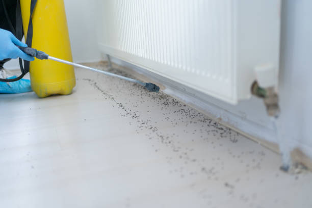 Best Pest Removal Services  in Tipton, IN